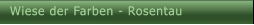 Wiese der Farben - Rosentau Wiese der Farben - Rosentau
